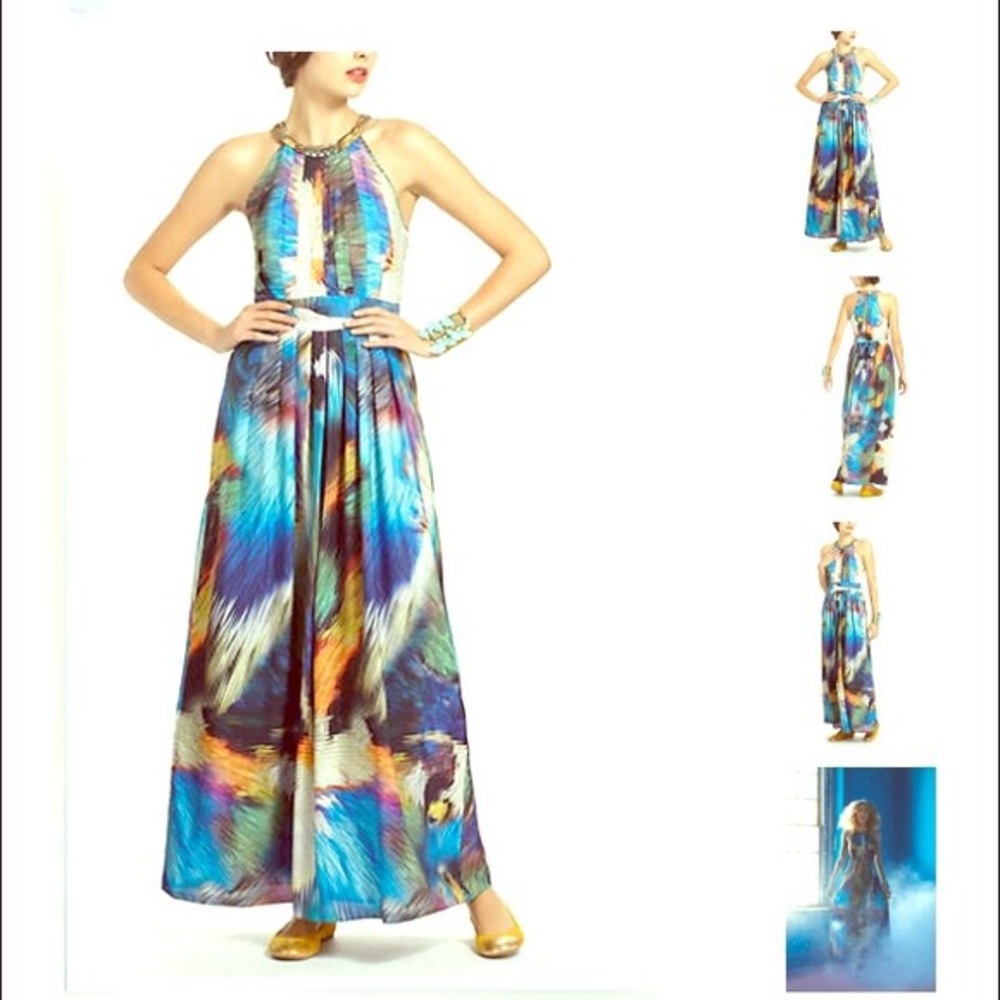 Ranna Gill Tropicalia Pleated Maxi, Anthropologie